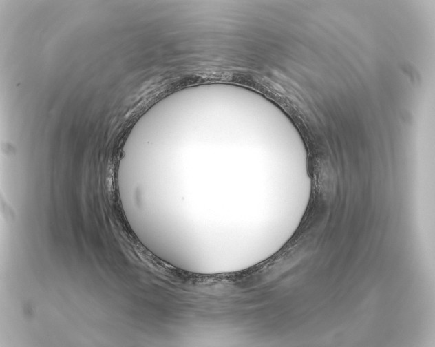 X0000091331154200708100956