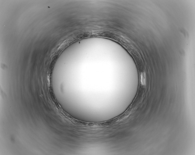 X0000091331155200708100956