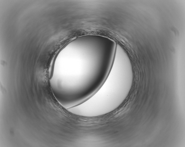 X0000091331156200708100956