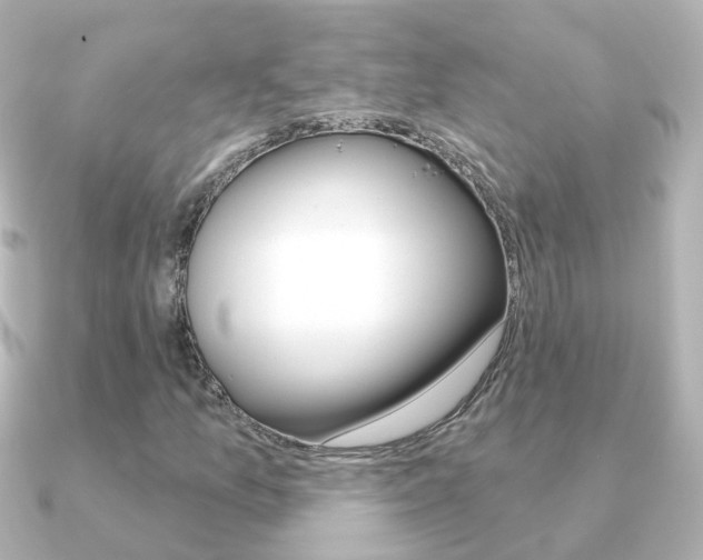 X0000091331157200708100956