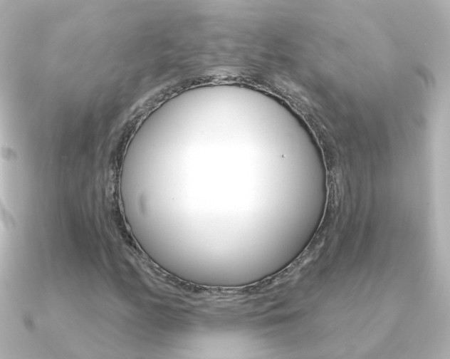 X0000091331158200708100956