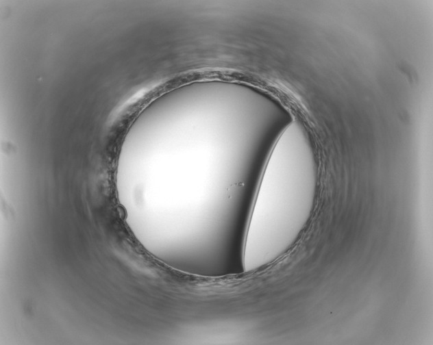 X0000091331159200708100956