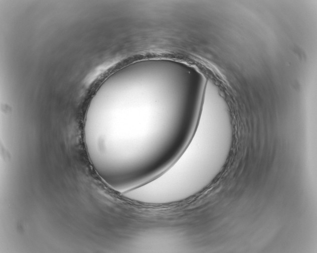X0000091331160200708100956
