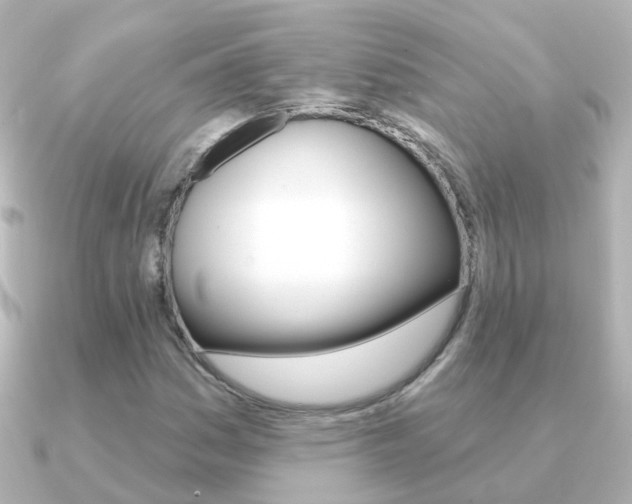 X0000091331161200708100956