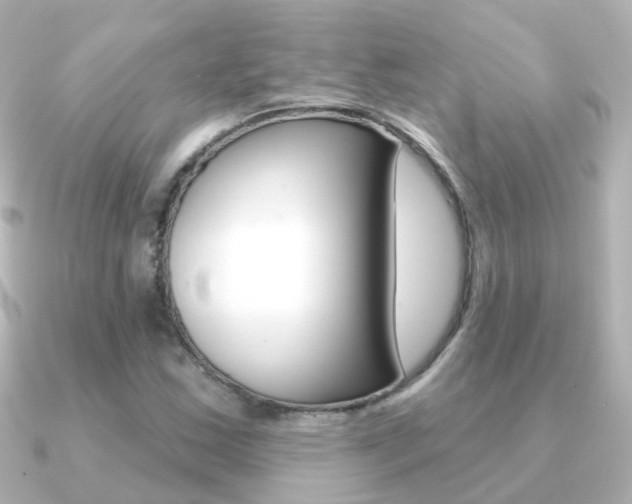 X0000091331163200708100956