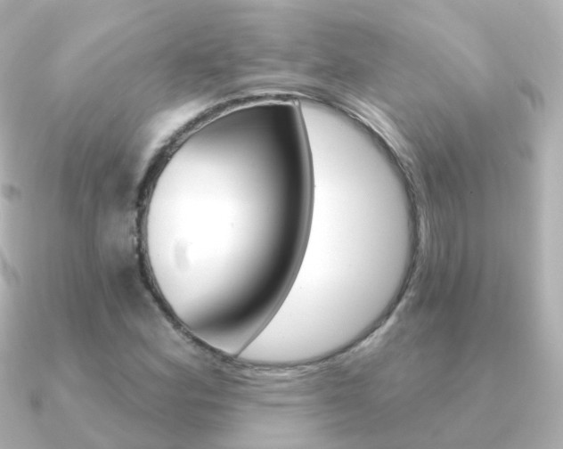 X0000091331164200708100956