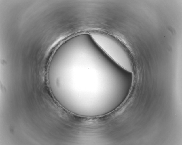 X0000091331165200708100956