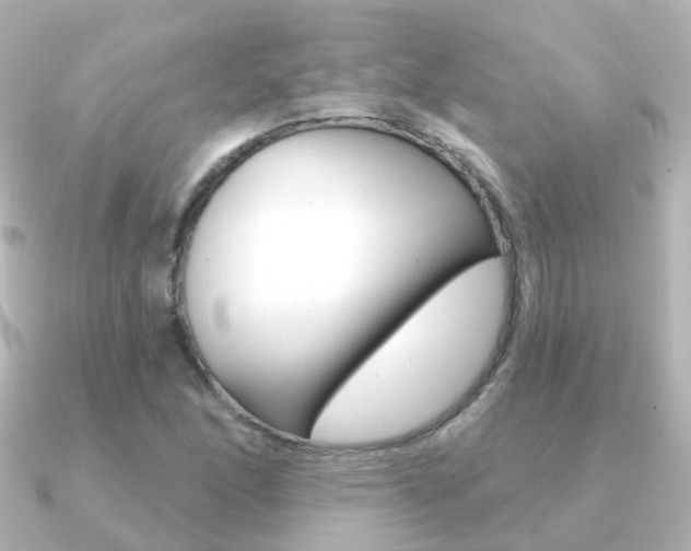 X0000091331166200708100956