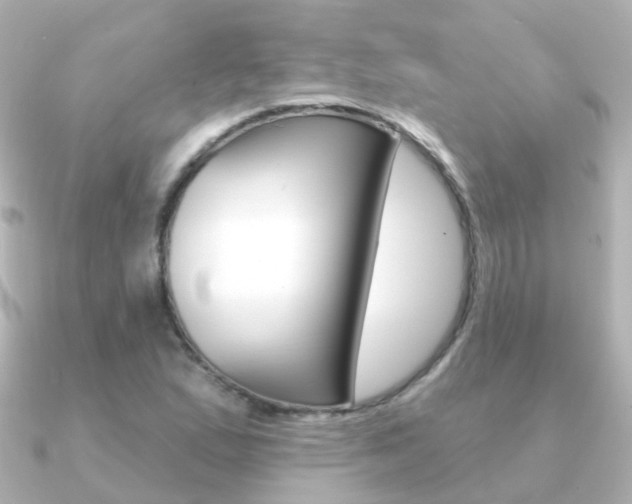 X0000091331167200708100956