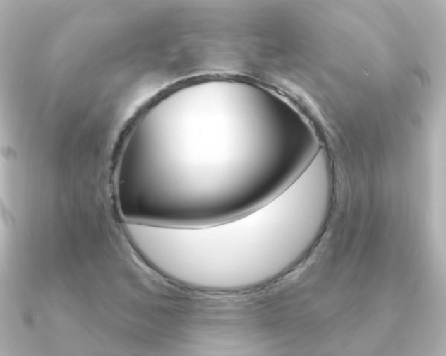 X0000091331168200708100956