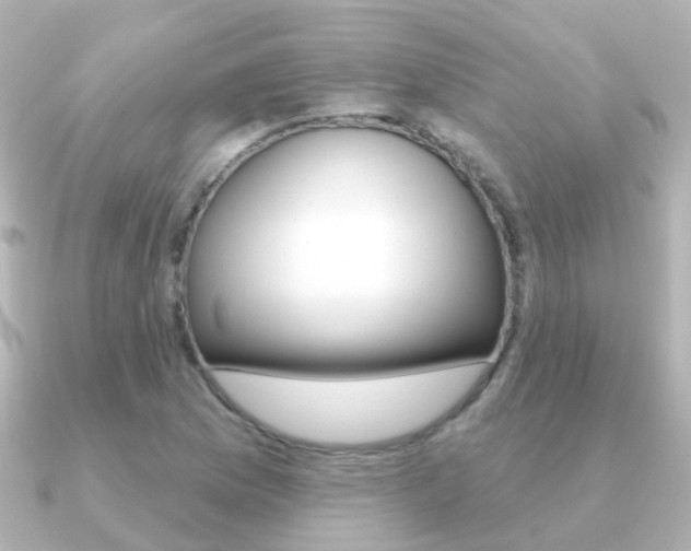 X0000091331169200708100956