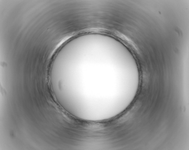 X0000091331170200708100956