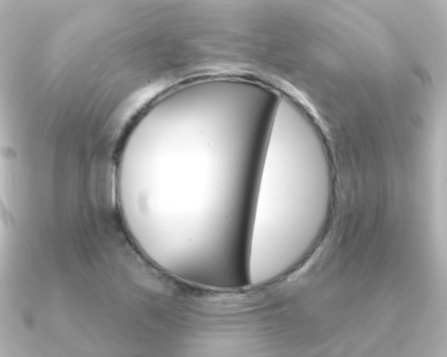 X0000091331171200708100956