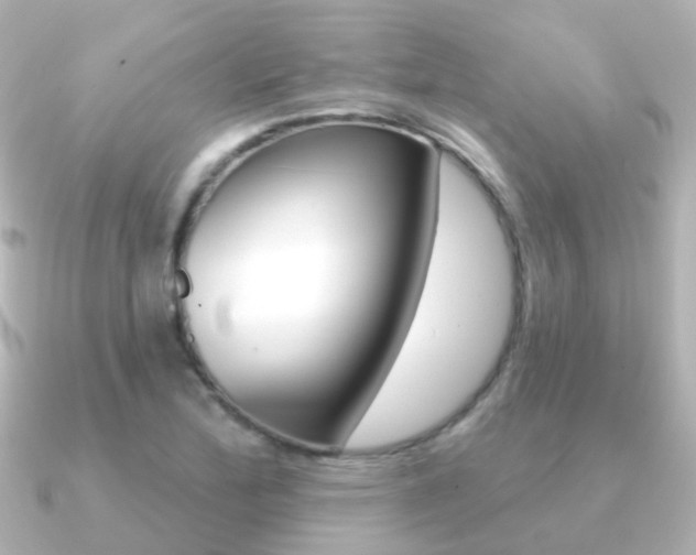 X0000091331172200708100956
