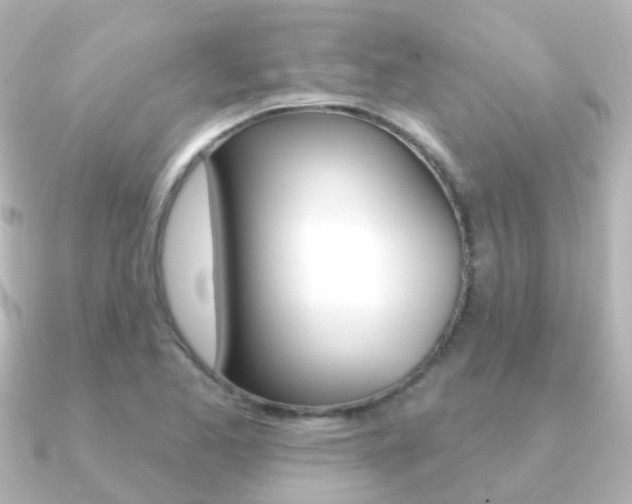 X0000091331173200708100956