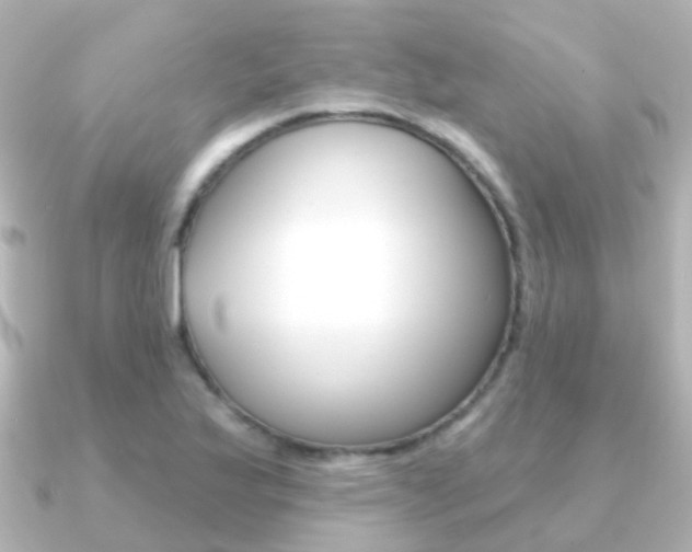 X0000091331175200708100956
