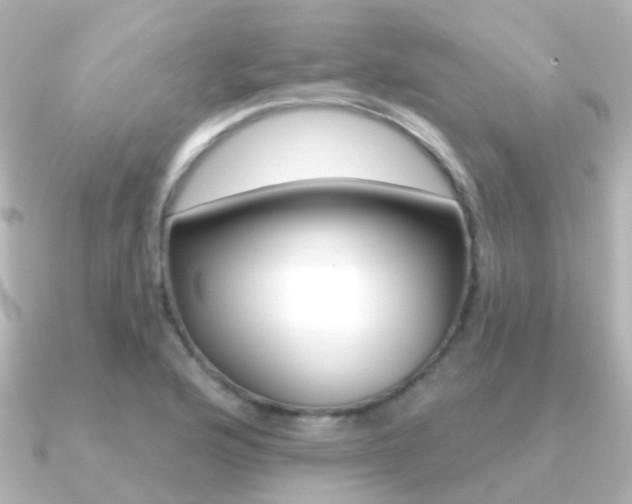 X0000091331176200708100956