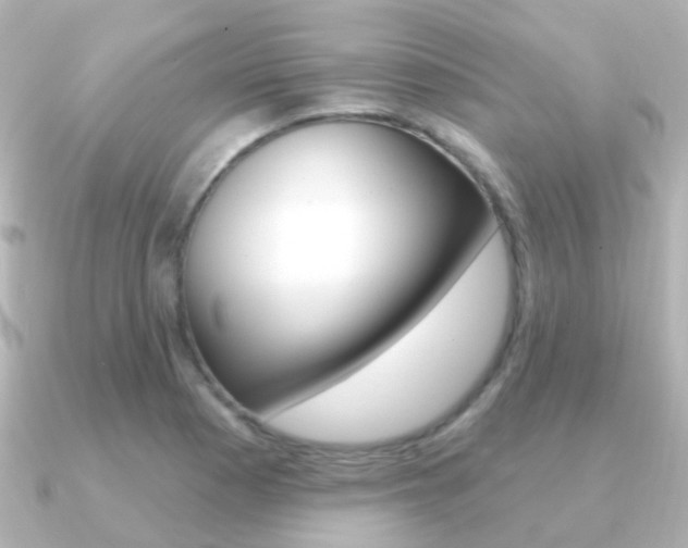 X0000091331177200708100956