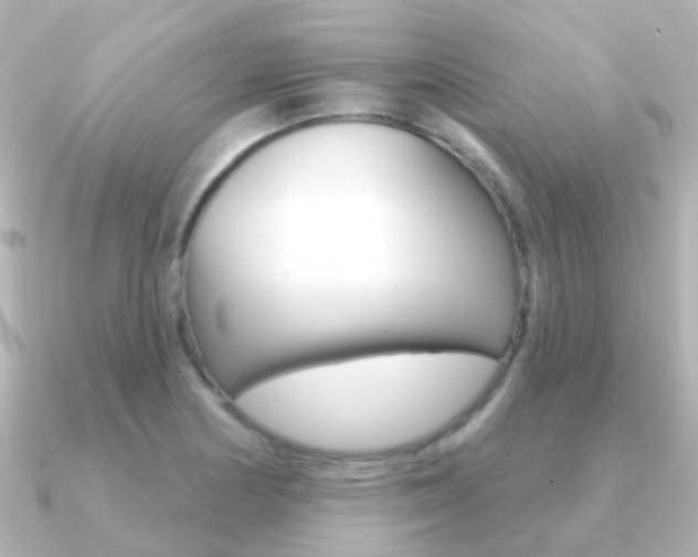 X0000091331178200708100956
