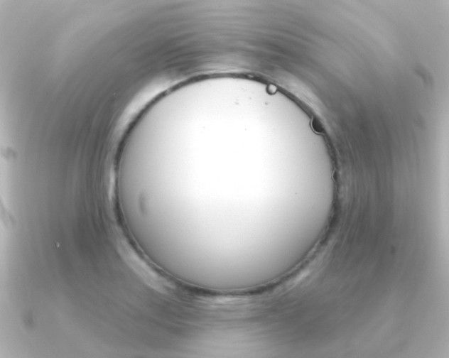 X0000091331179200708100956