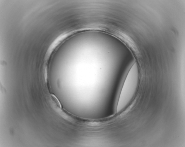 X0000091331180200708100956