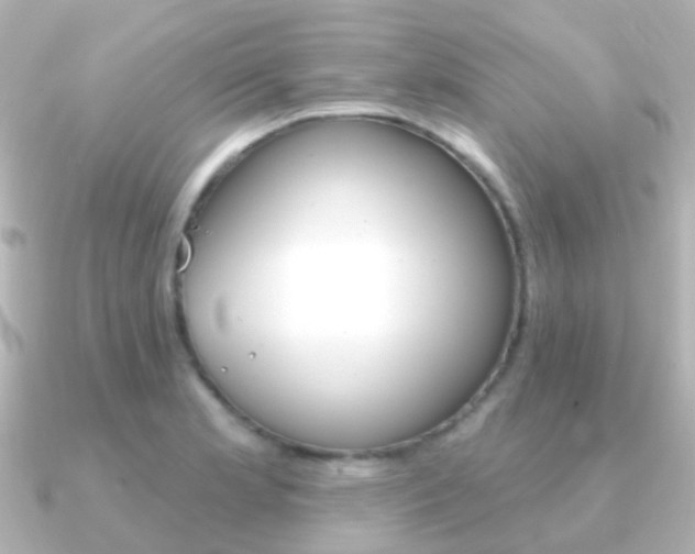 X0000091331181200708100956