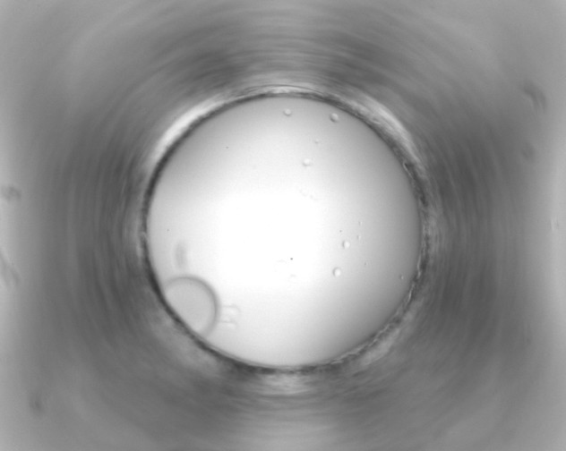 X0000091331182200708100956