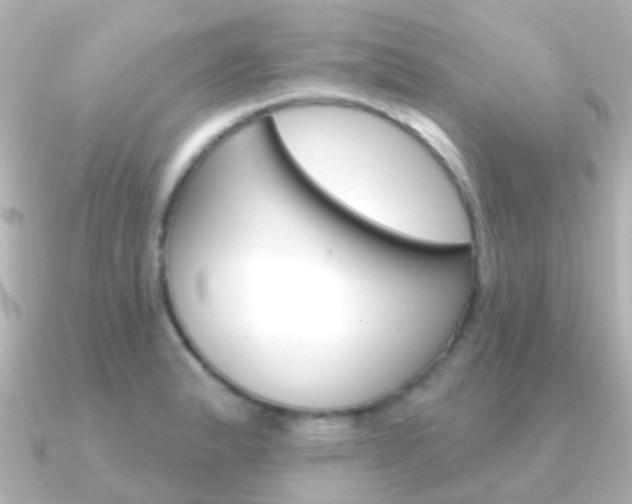X0000091331183200708100956