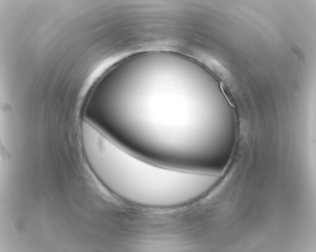 X0000091331184200708100956