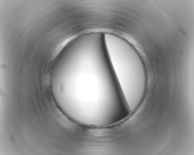 X0000091331185200708100956