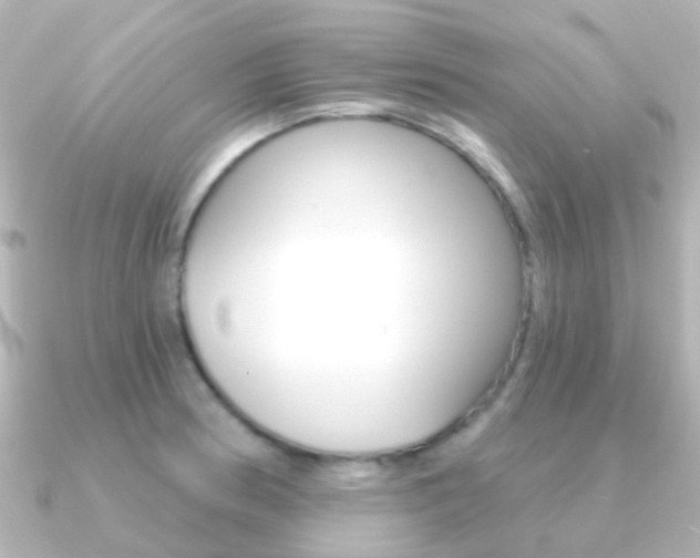 X0000091331186200708100956
