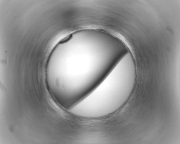 X0000091331187200708100956
