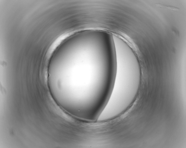 X0000091331188200708100956