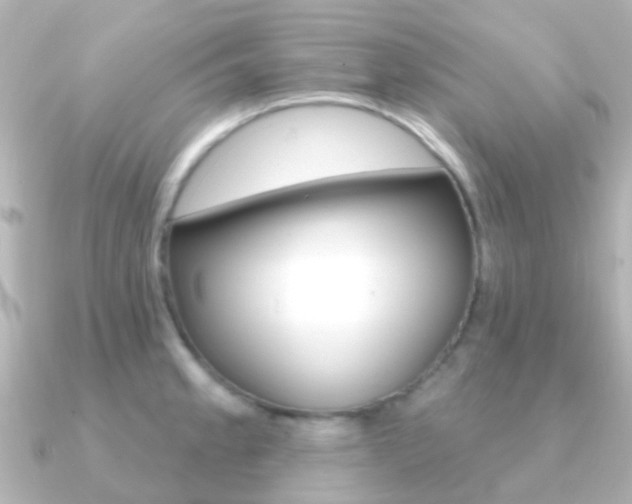 X0000091331189200708100956