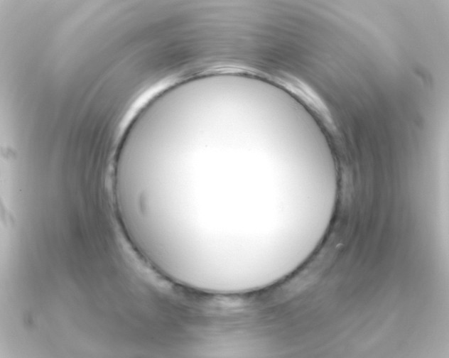 X0000091331190200708100956
