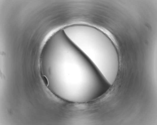 X0000091331191200708100956