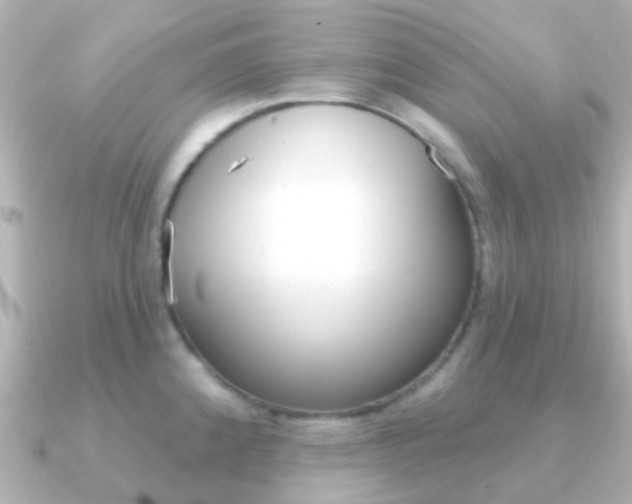 X0000091331192200708100956