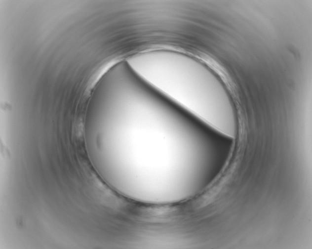 X0000091331193200708100956