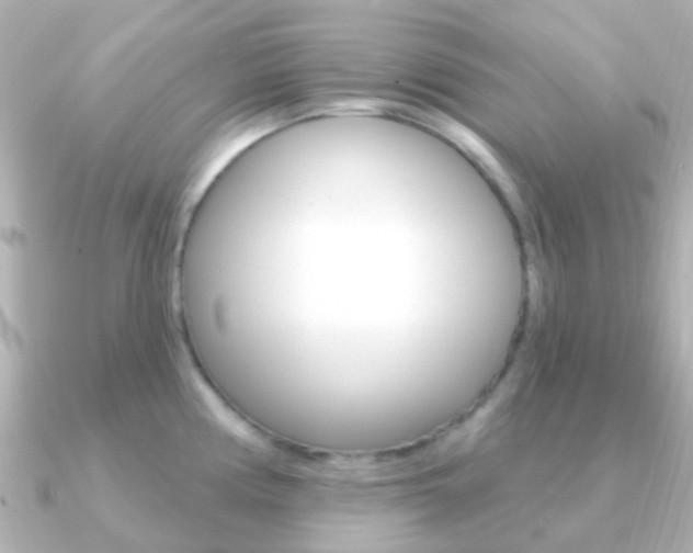 X0000091331194200708100956