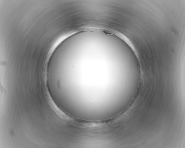 X0000091331195200708100956