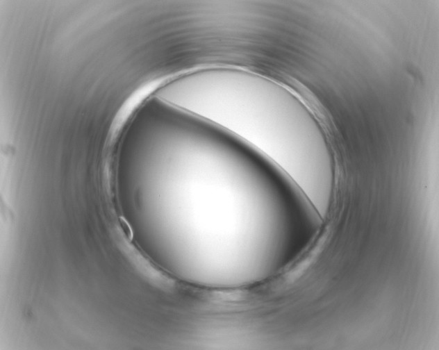X0000091331196200708100956