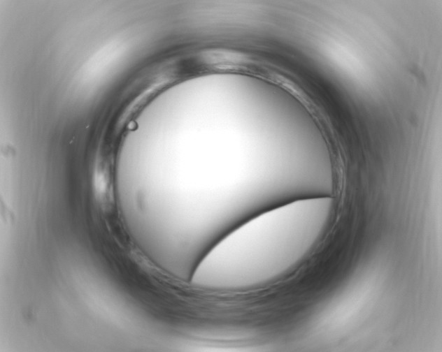 X0000091331198200708100956