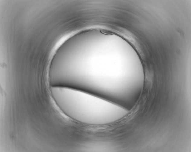 X0000091331199200708100956