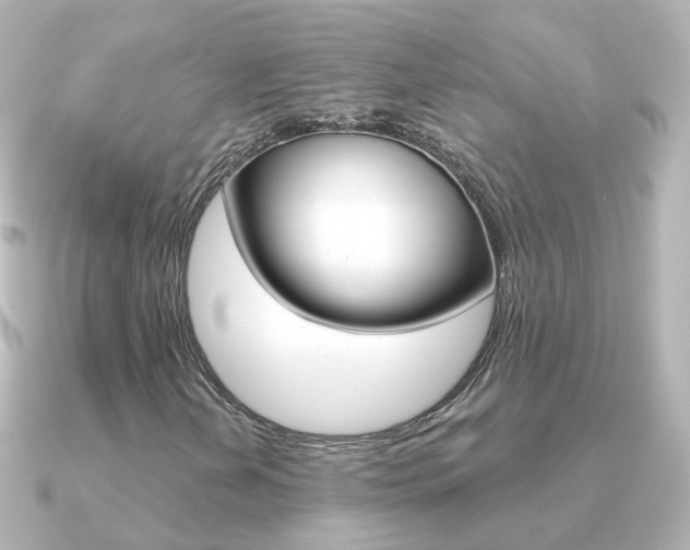 X0000091331202200708100955