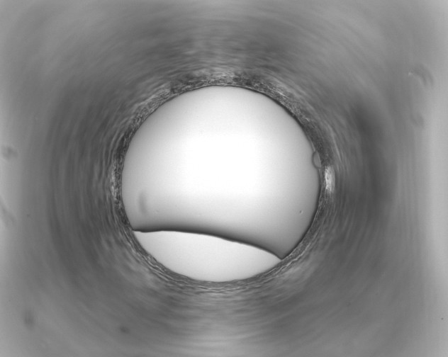 X0000091331203200708100955