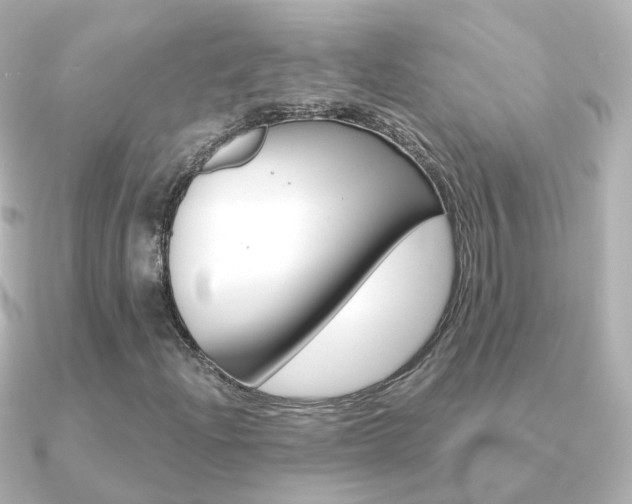 X0000091331204200708100955