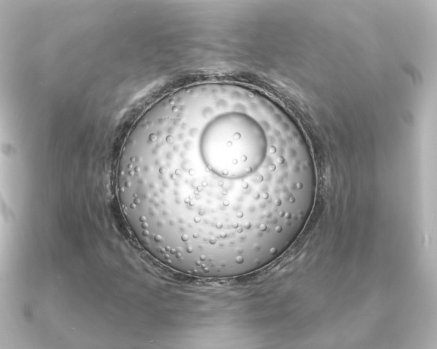X0000091331205200708100955