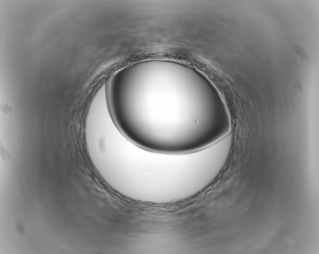X0000091331206200708100955