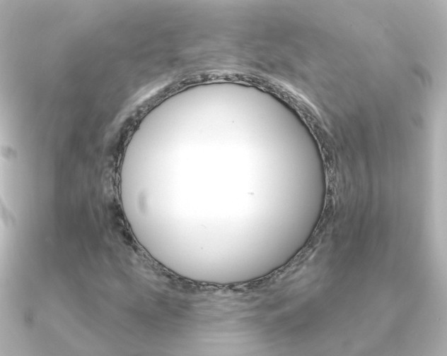 X0000091331207200708100955