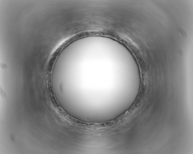 X0000091331208200708100955